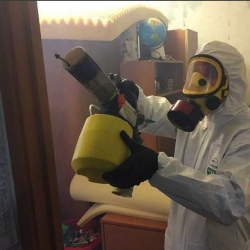 Уничтожение клопов в квартире. Поречье
